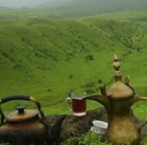 NAIFMUSTANG's profile picture. 