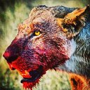 Don Bourne - @inmaeswetrust - Twitter