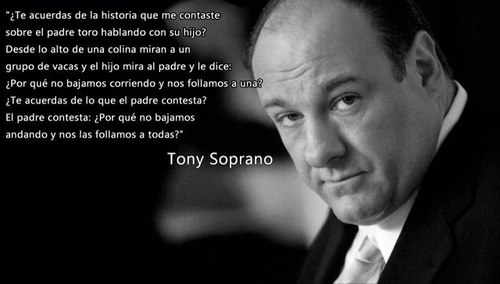 dm1489's profile picture. .