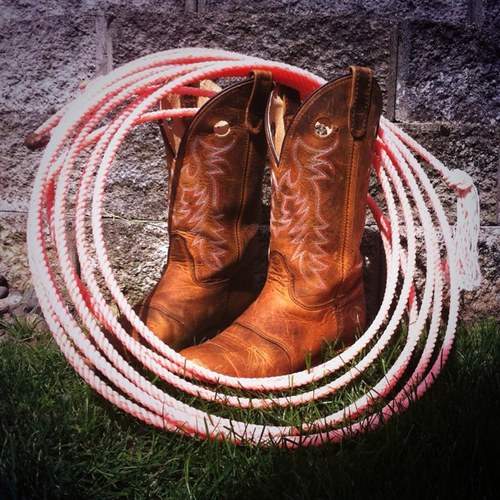 ropinsweetheart's profile picture. • Cowgirl up or go sit in the truck •avi is mine• •Baby Anon•