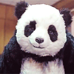 kagdilag's profile picture. igor_konev