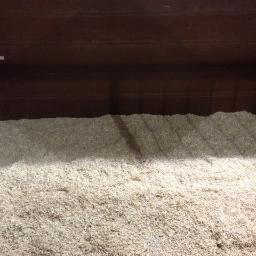 GiffordsUK's profile picture. Horse bedding at its best........Wood chip bedding, easy to clean, cost effective and easy to handle bales