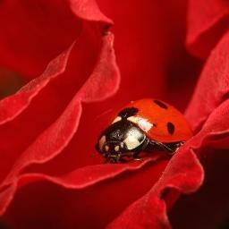 clelia_coradin's profile picture. Pour une consommation #responsable #fun et #eco-friendly ! ,-)