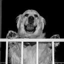 David Connelly - @spotonphotomd - Twitter