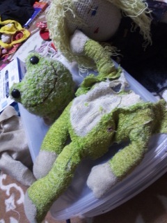 kluskurupino's profile picture. くるぴのリーダーのクルスなのだ