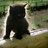 8Gtoma's profile image
