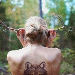 IndieHarmony's profile picture. Lone Wolf.
~(^.^-)~ ☮ ~(-^.^-)~ ☮ ~(-^.^)~ ☮