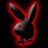 TTtorry's profile image