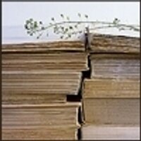 Steven Smith (@stevens87874986) 's Twitter Profile