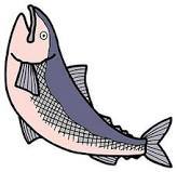 karahutomasu's profile picture. 絵の勉強中。とりあえずペンタブ買い換えたい。