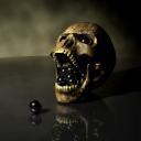 sometimes ...anatic  - interests # Infuriatingly humble social media geek # Proud zombie scholar ...