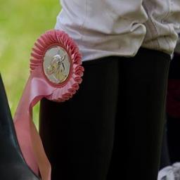 ♥ Elke dag 7 leuke paardentweets ♥ Met mooie foto's voor een vrolijke tijdlijn ♥ Nederlands account ♥ Follow us ♥ F=FB ♥ E-mail: livelove-horses@hotmail.com ♥