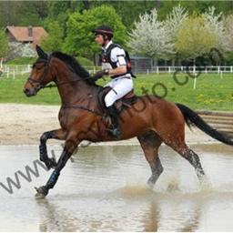 EcuriesLemaire's profile picture. cavalier de concours complet, écurie de propriétaire, coach, porte le protège-dos Rxr Horseriding Strongflex Premium!