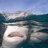 justinerichorne's profile image