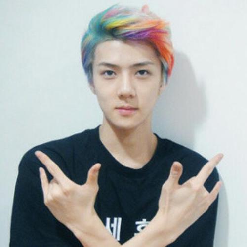 [Verified] @JSGAgency | Member of EXO | 94line Magnae