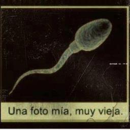 espectersimple's profile picture. 