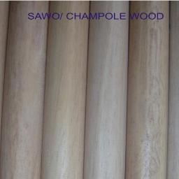 READY ORDER
DRUMSTICK CUSTOM
UKURAN STICK
BENTUK TIP (OVAL, BALL, ACORN, TEARDROP, DLL)
cp fast respon 24 jam 0899 444 2727 /blackberry by request