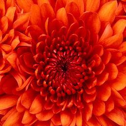 valilao's profile picture. 