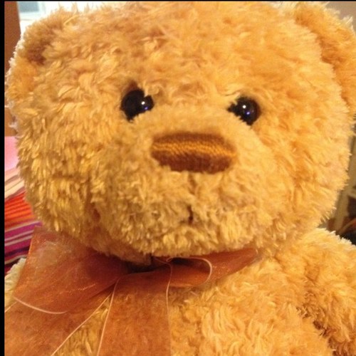 Rgirl0118's profile picture. ただの変人