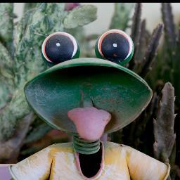 canevar's profile picture. 