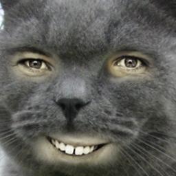 xPussyDragonx's profile picture. 