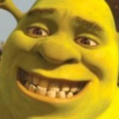 my time here............. is ogre