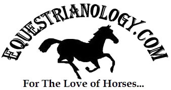 Equestrianology's profile picture. http://t.co/Ck9QWncPYB is an online social networking service. It was founded in 2013 by Steven Mawhinney. Users receive a personal website and/or blog page.