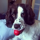 Kay Howe - @KayKaykingston - Twitter