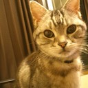 瀧音悠介 (@06038311) Twitter