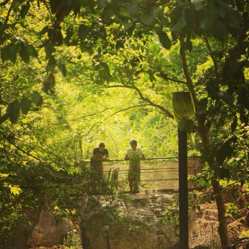 jad_mak10's profile picture. 