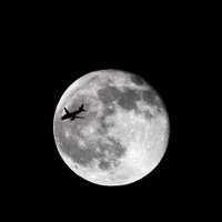 LarryS (@lstrip) 's Twitter Profile