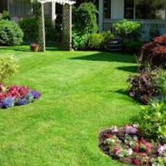 GBGreenScapes's profile picture. Stewards of our environment and neighbors in yourcommunity.
Gulf Breeze GreenScapes is here to serve......850-485-9924