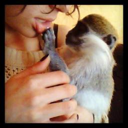 lumaschuldiner's profile picture. 