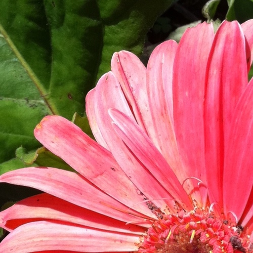 Sarahdwaugh's profile picture. 