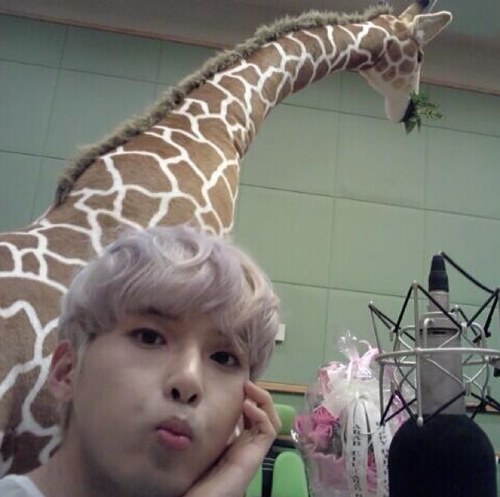 Super Junior RyeoWookbot Would you marry me...? @yuka55tt 사랑해요