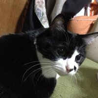 ラック (@luck0914) 's Twitter Profile Photo