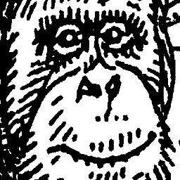 inkape's profile picture. 