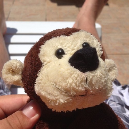 My name is Marvin and i like all things monkeys do, but i also love to party and get smashed with my father @ben_thomo! Follow me to see my epic monkey life