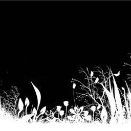 HP2Official's profile picture. 