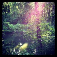 The River Empires (@trempires) 's Twitter Profile