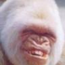 maolmhordha's profile picture. 