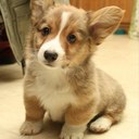 Tyler - @TylerMcDaniel7 - Twitter