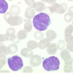 Lymphome 2.0 (@francelymphome) Twitter profile photo Lymphome 2.0 (@francelymphome) Twitter profile photo