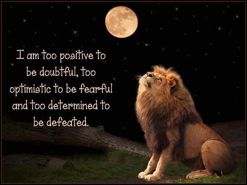 BosinuWealth's profile picture. What's meant to be will always find a way...