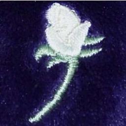 dan_allegretto's profile picture. i'm your problem now