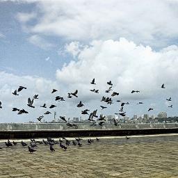 ShrivastVanita's profile picture. 