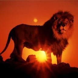 crisptweets's profile picture. Tweeting interesting, funny, informative stuff