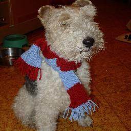 Proud Brummie and therefore Villa fan. I love rugby and cricket. Surrey CC member.