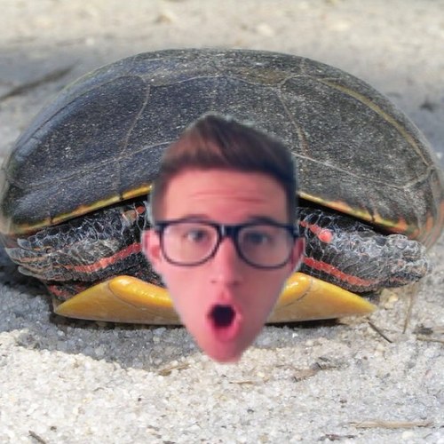 conyounotricky's profile picture. a little too obsessed with youtubers and food but oh well