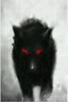 I worship the Beast drink Blood of The Serpent follow Angels of Death into the Depths of Hell.